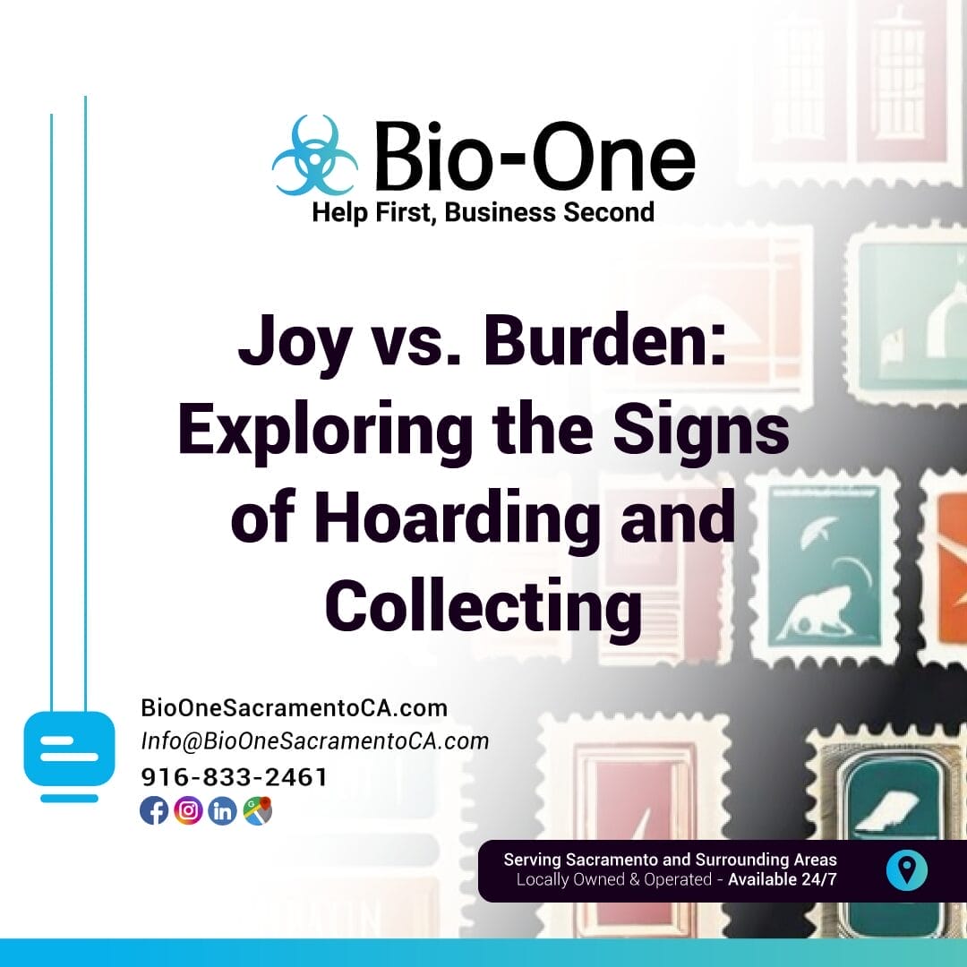 Joy vs. Burden Exploring the Signs of Hoarding and Collecting